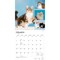 BrownTrout; Cat Lovers | 2027 12 x 24 Inch (Hanging) Monthly Square Wall Calendar | Foil Stamped Cover | Plastic-Free; Category:Wall Calendars; Image:4